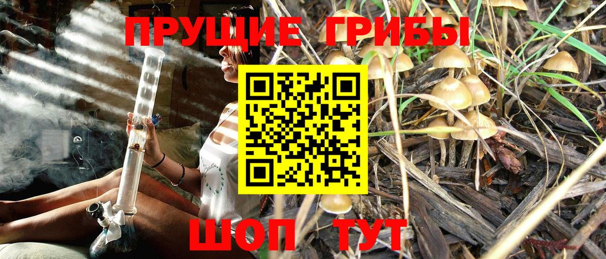 Галлюциногенные грибы MAGIC MUSHROOMS  Галлюциногенные грибы Psilocybine cubensis  наркошоп  Вход с VPN  Киров 